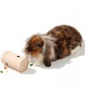 Karlie Juguete de habilidad dispensa golosinas para conejos y roedores