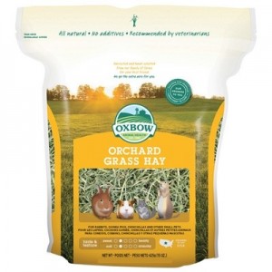 Oxbow Heno Orchard Grass para conejos y roedores