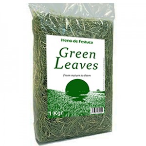 Green Leaves - Henos de FESTUCA 100 % PARA CONEJOS Y COBAYAS