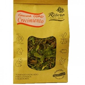 Ribero Gamma Coad CRECIMIENTO