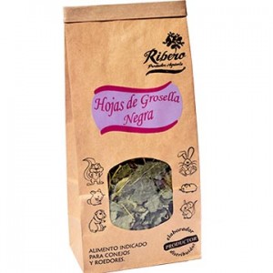 Ribero Hojas de Grosella Negra