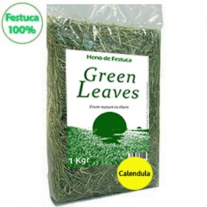 GREEN LEAVES FESTUCA HENO 100 % con calendula PARA CONEJOS Y COBAYAS