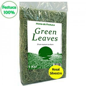 Green Leaves Heno de Festuca 100% con Rosal Silvestre