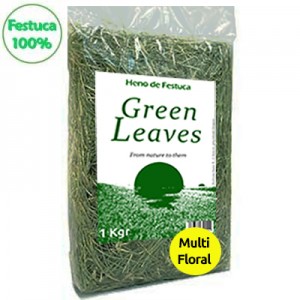 Green Leaves Heno de Festuca 100% MULTIFLORAL *