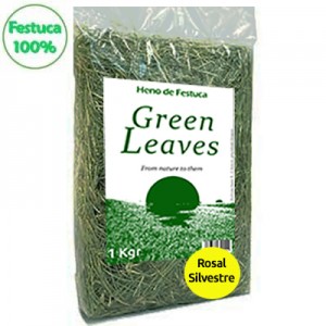 Green Leaves Heno de Festuca 100% con Rosal Silvestre *