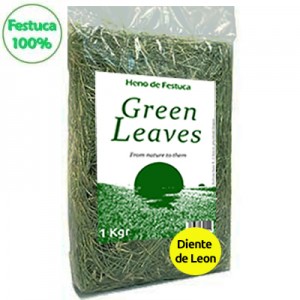 GREEN LEAVES FESTUCA HENO 100 % CON DIENTE DE LEON PARA CONEJOS Y COBAYAS