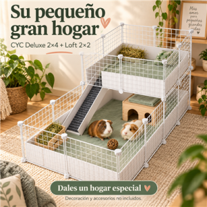 CagesCubes - Jaula CyC Deluxe 2X4 con Loft 2X2
