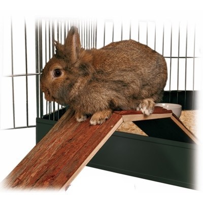 Trixie Puente de madera para jaulas de conejos y cobayas