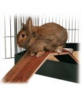 Trixie Puente de madera para jaulas de conejos y cobayas