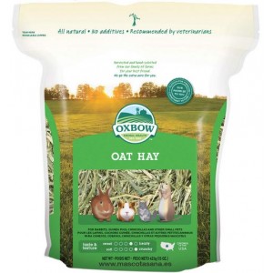 Oxbow heno de Avena para conejos y roedoes