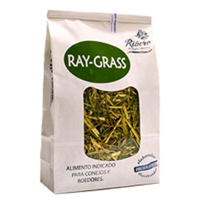 Ribero Ray-Grass