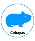 Tienda para Cobayas