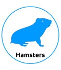 Tienda para Hamsters