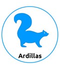 Tienda para Ardillas