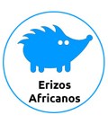 Tienda para Erizos Africanos