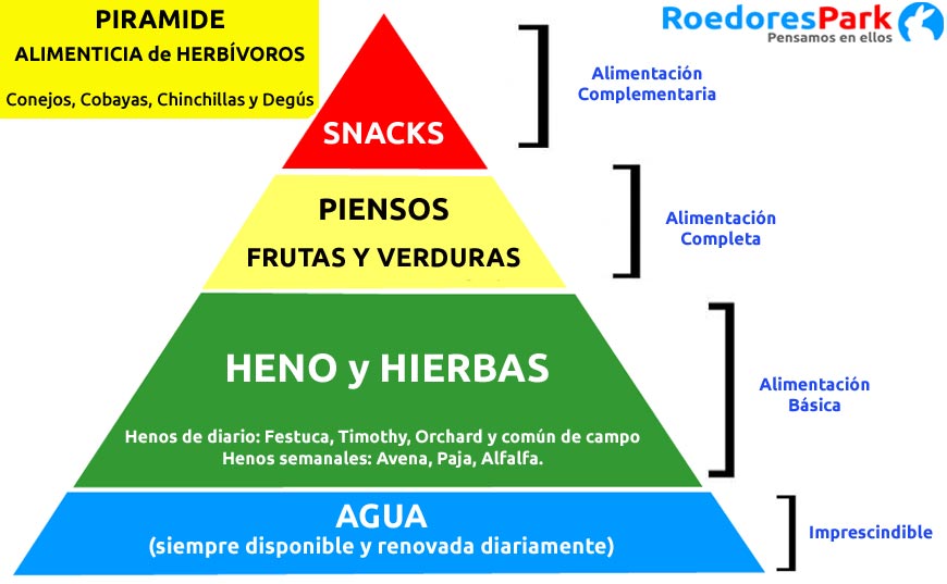 piramide alimentica