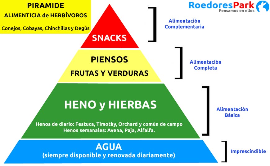 piramide alimentica