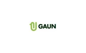 Gaun