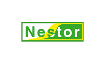 Nestor