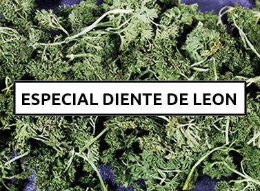 Especial Diente de leon