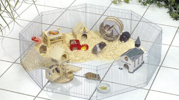 PARQUE DE JUEGOS PARA HAMSTER