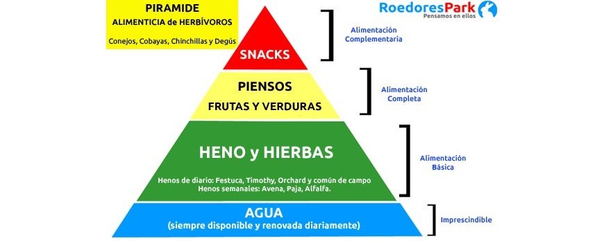 PIRAMIDE ALIMENTICIA DE LOS HERBÍVOROS: Conejos, Cobayas, Chinchillas y Degús