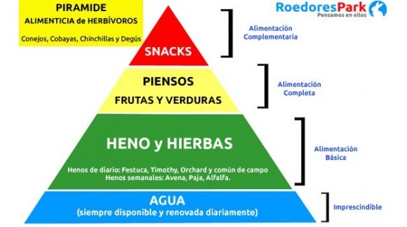 PIRAMIDE ALIMENTICIA DE LOS HERBÍVOROS: Conejos, Cobayas, Chinchillas y Degús