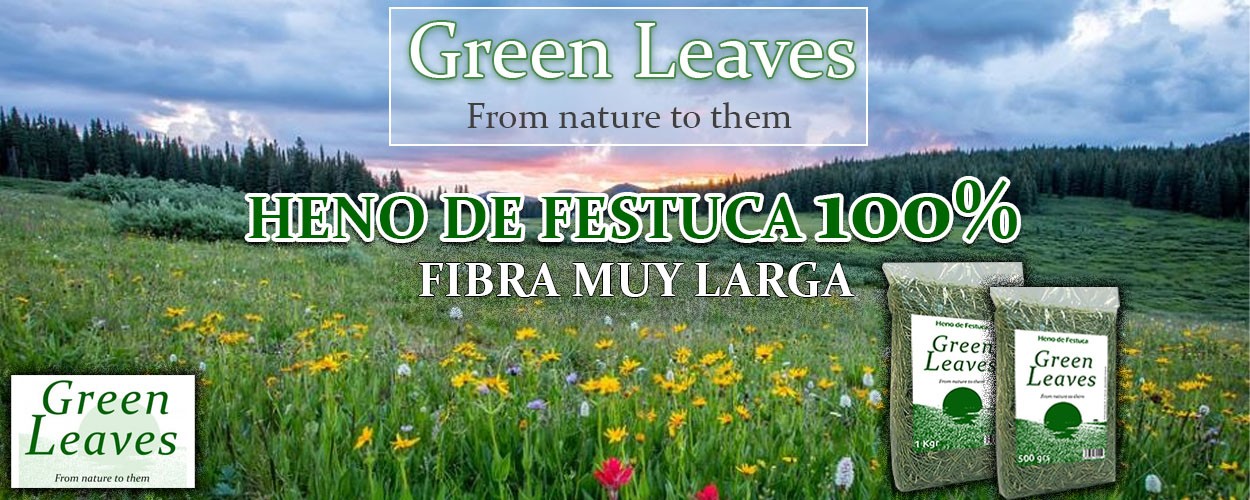 Green Leaves