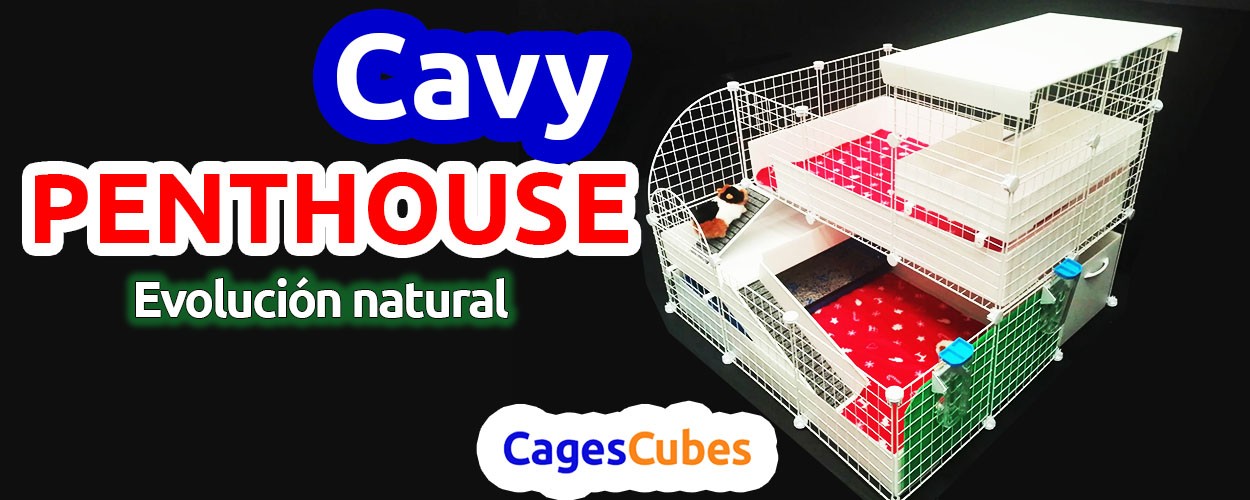 Cavy Penthouse - CagesCubes